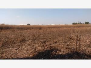 Terreno en venta en Fraccionamiento Industrial la Pompa, León — foto 3 de 3