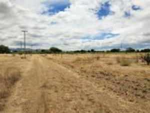 Terreno en venta en Nuevo San Isidro, San Juan del Río — foto 3 de 8