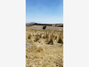Terreno en venta en Cacalomacán Centro, Toluca — foto 3 de 3