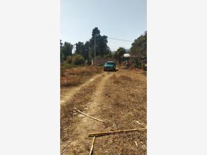 Terreno en venta en Tepetlixpa, Tepetlixpa — foto 2 de 10
