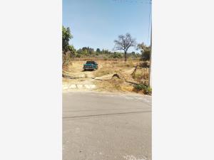 Terreno en venta en Tepetlixpa, Tepetlixpa — foto 3 de 10