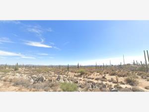 Terreno en venta en Cataviña, San Quintín — foto 2 de 7