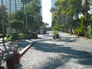 Departamento en renta en Las Glorias, Puerto Vallarta — foto 3 de 62