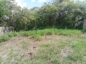 Terreno en venta en Petrolera Lindavista, Pueblo Viejo — foto 3 de 17