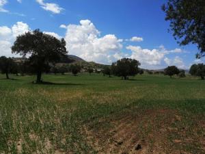 Terreno en venta en Venustiano Carranza, Zempoala — foto 2 de 37