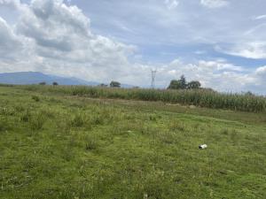 Terreno en venta en La Constitucion Totoltepec, Toluca — foto 2 de 5