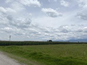 Terreno en venta en San Blas Otzacatipan, Toluca — foto 2 de 7