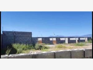 Terreno en venta en Bermejillo, Mapimí — foto 3 de 10