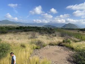 Terreno en venta en San Jeronimo Tlacochahuaya, San Jerónimo Tlacochahuaya — foto 3 de 6