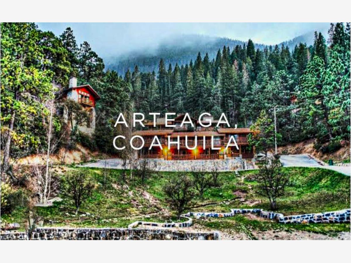 Terreno en venta en El Cedrito, Arteaga — foto 1 de 24