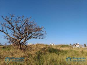 Terreno en venta en Anton Lizardo, Alvarado — foto 2 de 4