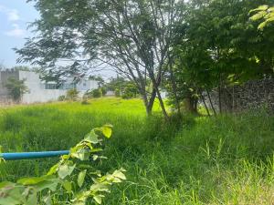 Terreno en venta en Tamoanchan, Jiutepec — foto 2 de 6