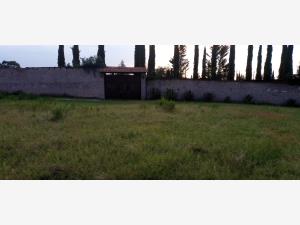 Terreno en venta en Santa María Nativitas, Aculco — foto 3 de 16