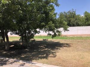 Terreno en venta en San Armando, Torreón — foto 2 de 20