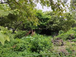 Terreno en venta en Santiago Tepetlapa, Tepoztlán — foto 2 de 11