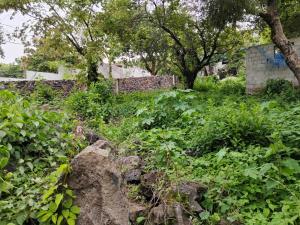 Terreno en venta en Santiago Tepetlapa, Tepoztlán — foto 3 de 11