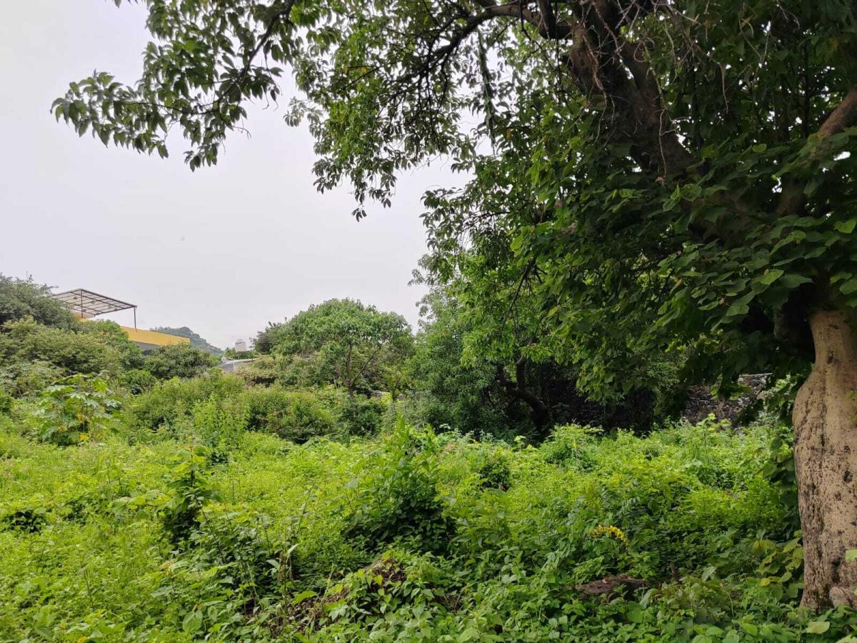 Terreno en venta en Santiago Tepetlapa, Tepoztlán — foto 1 de 11