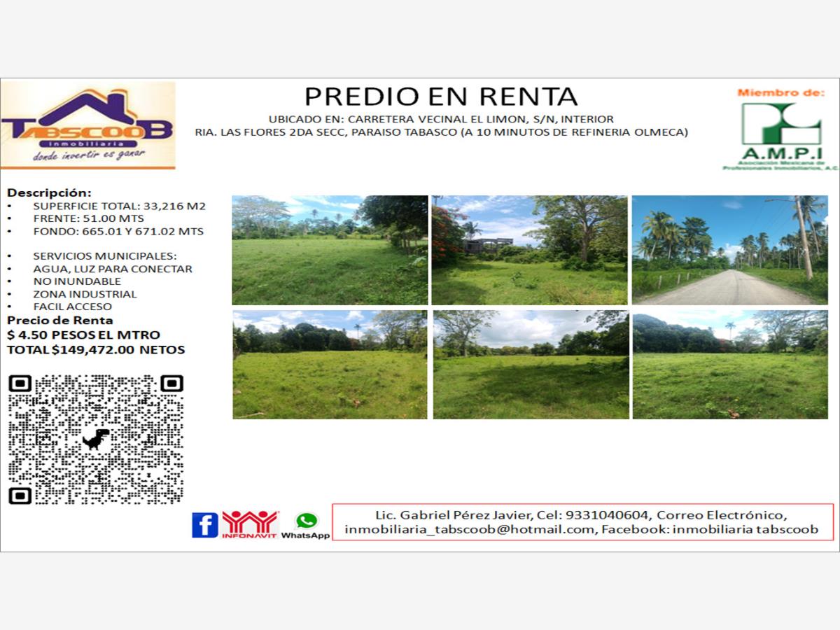 Terreno en renta en Las Flores 2da. Sección, Paraíso — foto 1 de 9