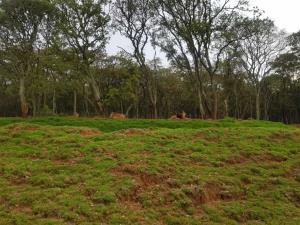 Terreno en venta en Canalejas, Jilotepec — foto 2 de 11