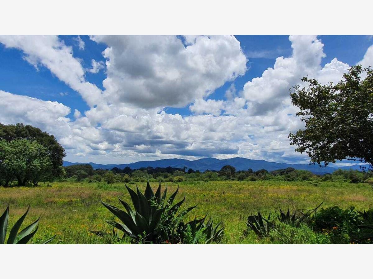 Terreno en venta en Canalejas, Jilotepec — foto 1 de 11