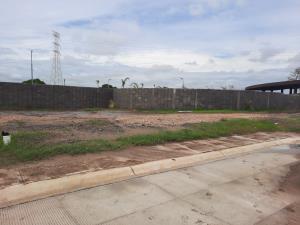 Terreno en venta en Paso Colorado, Boca del Río — foto 3 de 6