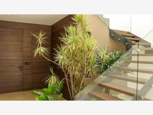Casa en venta en Real de Tetela, Cuernavaca — foto 2 de 13