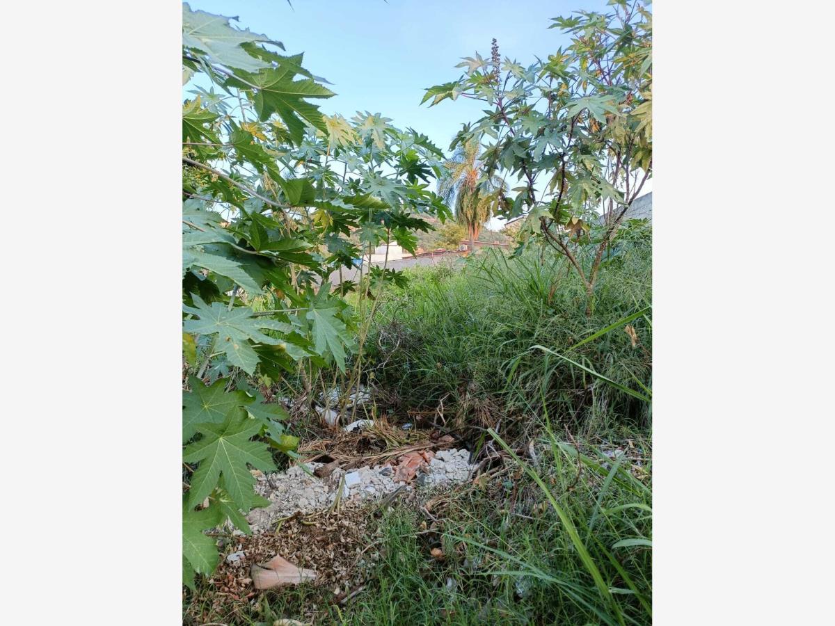 Terreno en venta en Las Fincas, Jiutepec — foto 1 de 3