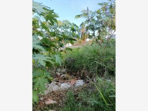 Terreno en venta en Las Fincas, Jiutepec, Morelos Terreno en venta en Las Fincas, Jiutepec, Morelos