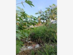 Terreno en venta en Las Fincas, Jiutepec — foto 2 de 3