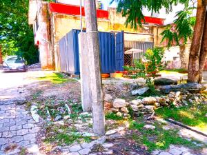 Terreno en renta en La Cañada, Palenque — foto 3 de 4