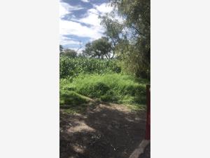 Terreno en venta en San Gaspar Tlahuelilpan, Metepec — foto 2 de 3