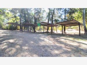 Terreno en venta en San Francisco del Rincon Centro, San Francisco del Rincón — foto 2 de 19
