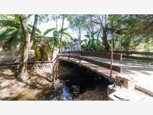 Terreno en venta en San Francisco del Rincon Centro, San Francisco del Rincón — foto 3 de 19