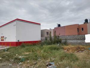 Terreno en renta en La Dalia, Torreón — foto 2 de 5
