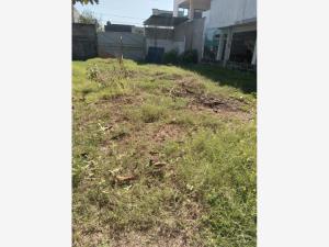 Terreno en renta en Tomas Garrido, Comalcalco — foto 3 de 6