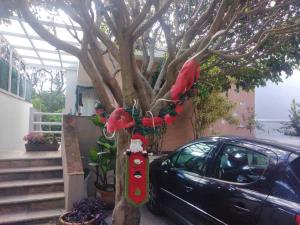 Casa en venta en Lomas de Tzompantle, Cuernavaca — foto 3 de 26