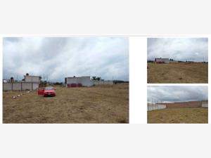 Terreno en venta en San Lorenzo los Jagüeyes, Atlixco, Puebla Terreno en venta en San Lorenzo los Jagüeyes, Atlixco, Puebla