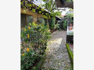 Terreno en venta en Lomas de Cortes, Cuernavaca — foto 2 de 32