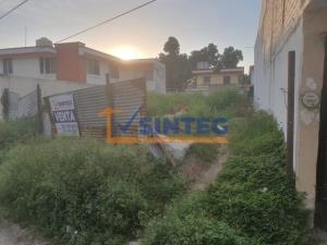 Terreno en venta en San Roman, Poza Rica de Hidalgo — foto 3 de 6