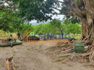 Terreno en venta en Coronado, Gutiérrez Zamora — foto 2 de 8