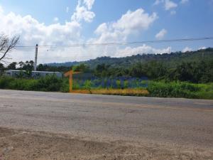 Terreno en venta en San Miguel Mecatepec, Tihuatlán — foto 2 de 9