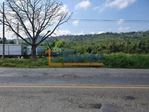 Terreno en venta en San Miguel Mecatepec, Tihuatlán — foto 3 de 9