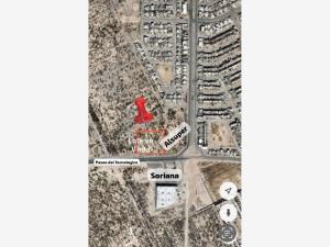 Terreno en venta en Monte Real, Torreón, Coahuila de Zaragoza