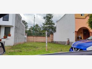 Terreno en venta en Montaña Monarca I, Morelia — foto 2 de 4