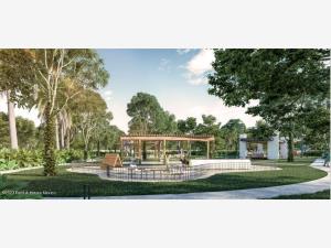 Terreno en venta en Santa María Yaxché, Mérida — foto 2 de 22