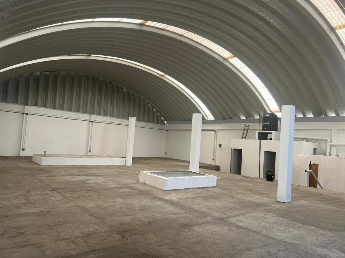 Bodega en venta en Providencia, Azcapotzalco — foto 1 de 8
