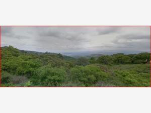 Terreno en venta en El Mogote, San Luis de la Paz — foto 2 de 7