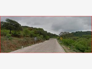 Terreno en venta en El Mogote, San Luis de la Paz — foto 3 de 7