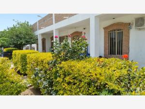 Finca-Rancho en venta en Jose Maria Morelos y Pavon, Gómez Palacio — foto 3 de 57
