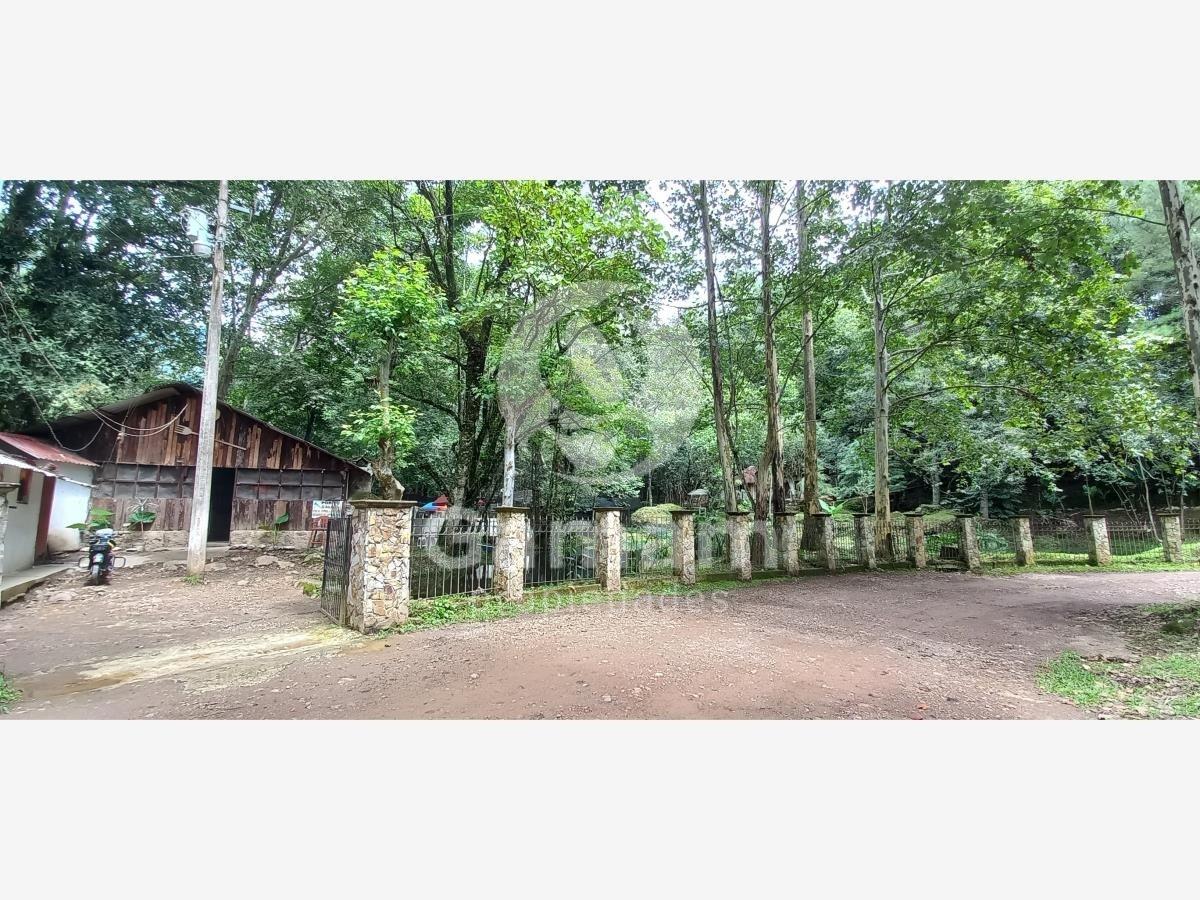 Terreno en venta en El Texme, Tenango de Doria — foto 1 de 44